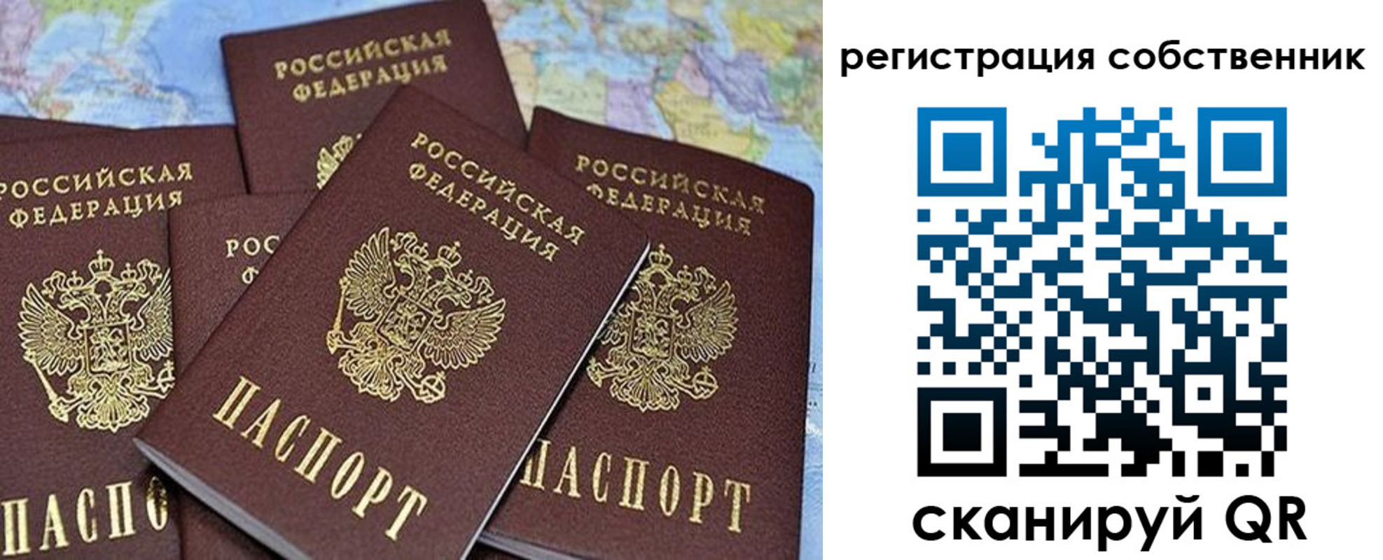 прописка для школы в Киришах